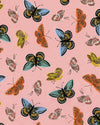 Estuche Mariposas Rosa