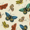 Panera Mariposas Crema
