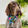 Bandana Mascota Rosa Navy L