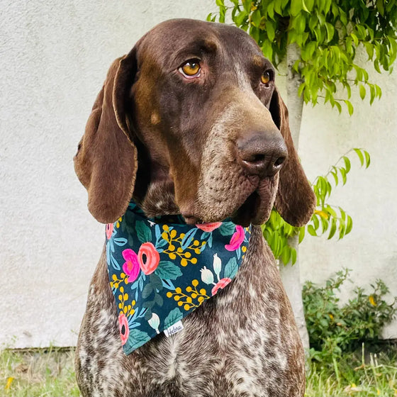Bandana Mascota Rosa Navy L
