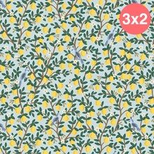  Gorro Clínico Lemon Grove Menta