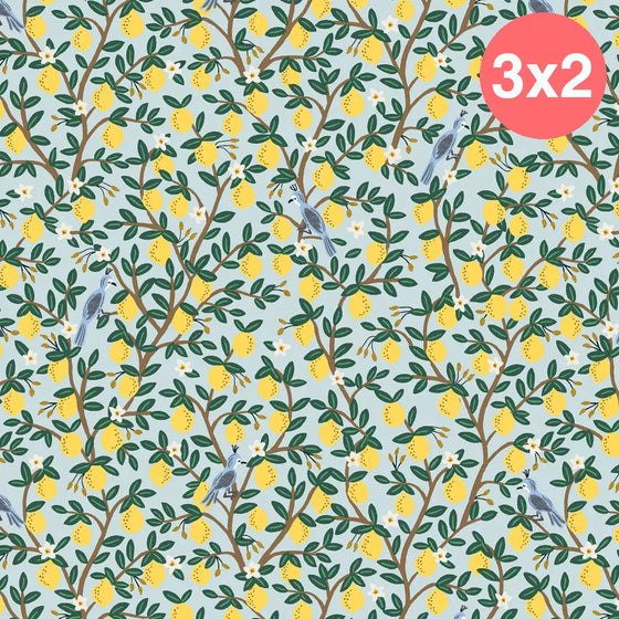Gorro Clínico Lemon Grove Menta