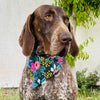 Bandana Mascota Rosa Navy L
