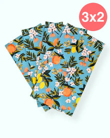  Set 4 servilletas Citrus Turquesa 100% algodón