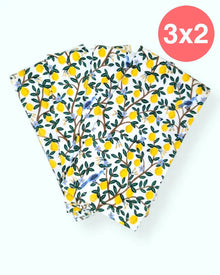  Set 4 servilletas Lemon Grove Menta 100% algodón