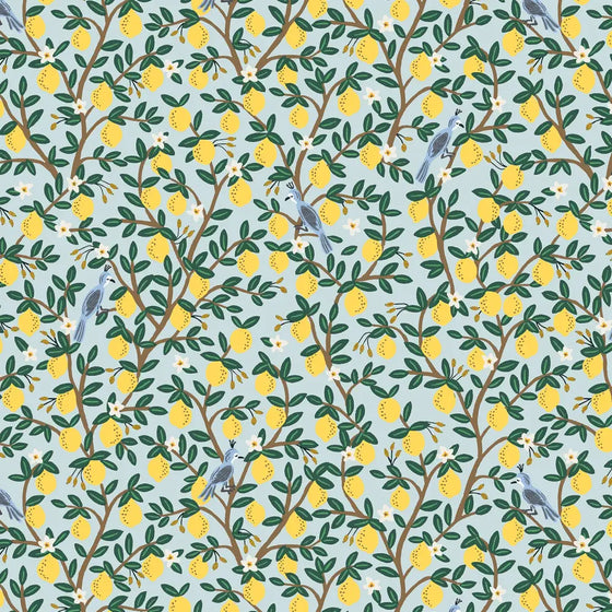 Set 4 servilletas Lemon Grove Menta 100% algodón