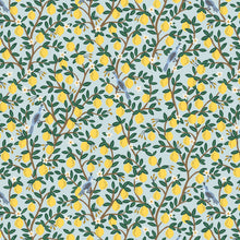  Gorro Clínico Lemon Grove Menta