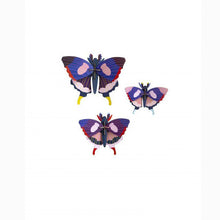  Set de 3 Swallowtail butterflies