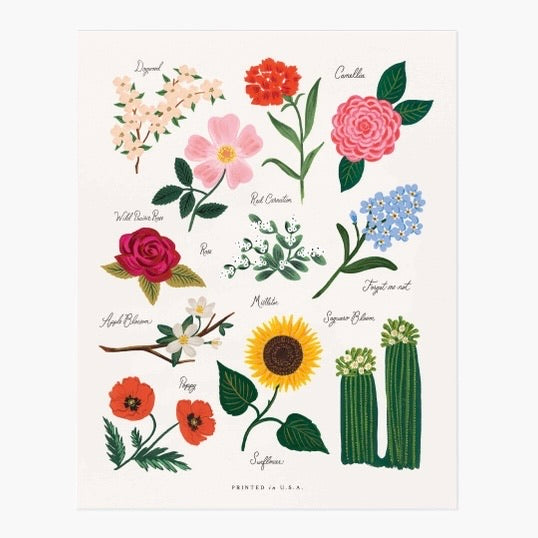 Print Florals - 40x50 cms.