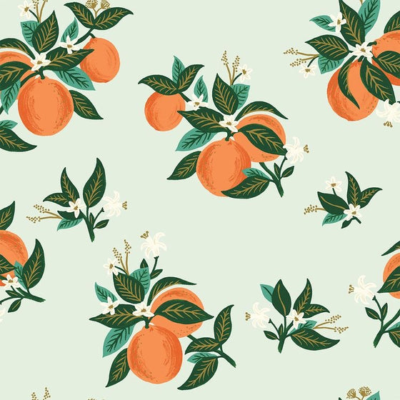 Lanyard Naranja