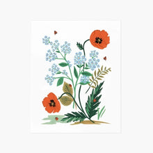  Print Iceland Poppy - 20x25 cms.