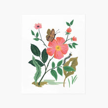  Print Garden Rose - 20x25 cms.