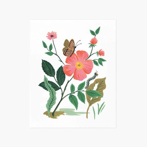 Print Garden Rose - 20x25 cms.