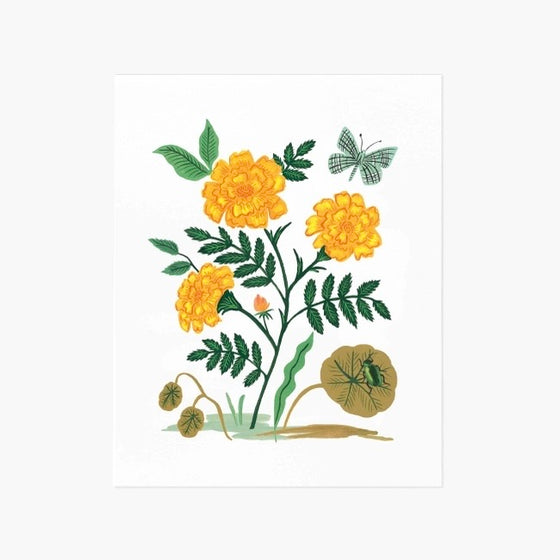 Print French Marigold - 20x25 cms.
