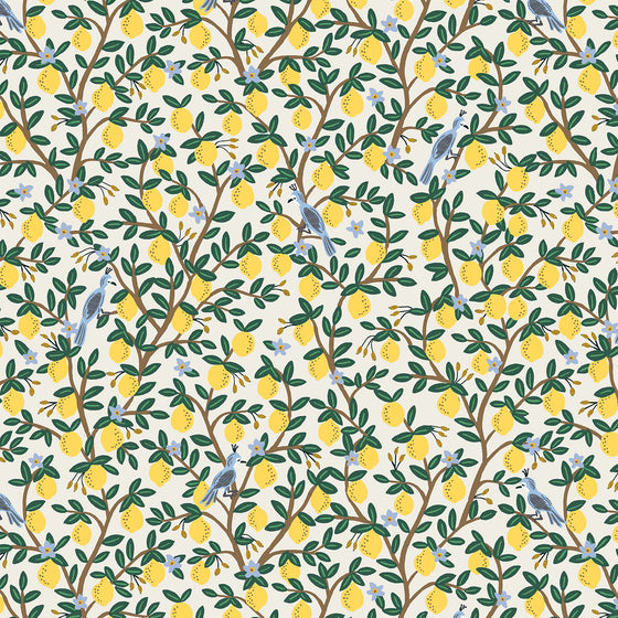Set 4 servilletas Lemon Grove Crema - 100% algodón